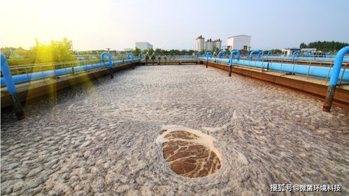 污水處理及其再生利用中的高效除臭方法