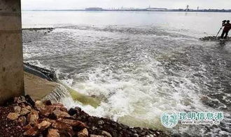 31條入滇河嚴禁游泳洗車，違者最高罰款500元