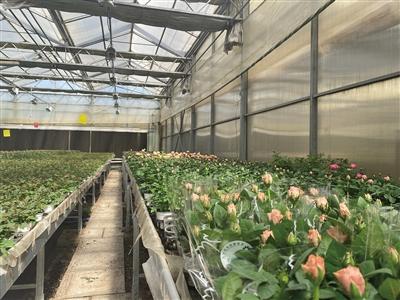 循環利用，清流再生 北京再生水利用率近三成的實踐與啟示