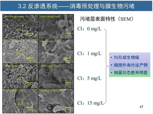 水征分析與污水再生處理工藝診斷優化方法——胡洪營教授專題分享