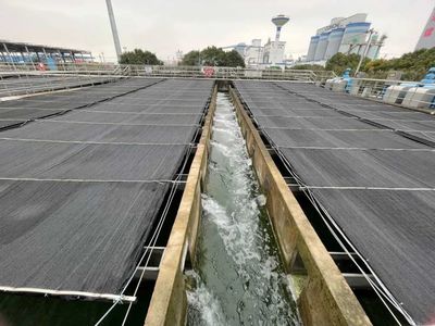 寧波實施五大工程，打造“再生水”利用全國新標桿